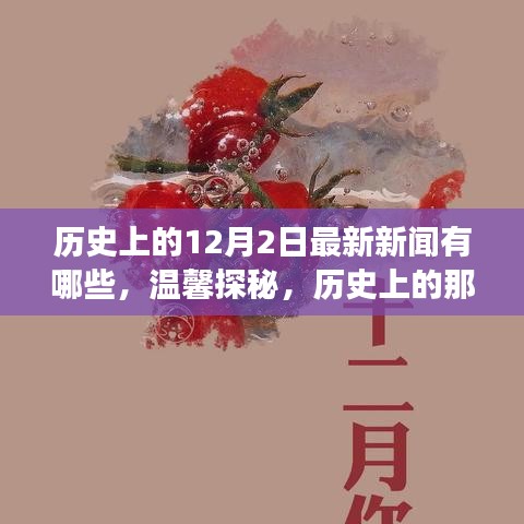 溫馨探秘，歷史上的十二月二日最新新聞與日常小故事回顧