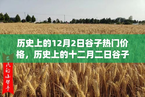 深度解析，歷史上的谷子熱門價(jià)格變遷與背景事件影響——十二月二日的回顧與剖析