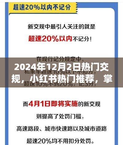 2024年交規(guī)新動態(tài)與熱門推薦，小紅書指南助你出行必備