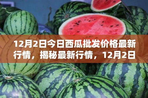 揭秘最新行情，深度解析12月2日西瓜批發(fā)價(jià)格走勢及最新行情