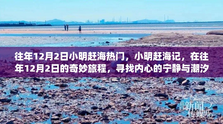 小明趕海記，尋找潮汐之聲與內(nèi)心的寧?kù)o之旅