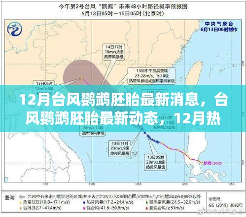 臺風(fēng)鸚鵡胚胎最新消息，12月熱帶風(fēng)暴孕育與影響回顧