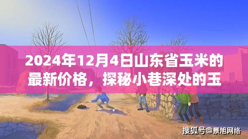 山東省玉米秘境探秘，最新價格與隱藏特色小店的奇妙邂逅