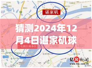 諶家磯球場最新動態(tài)展望，未來賽事猜想（2024年12月4日）