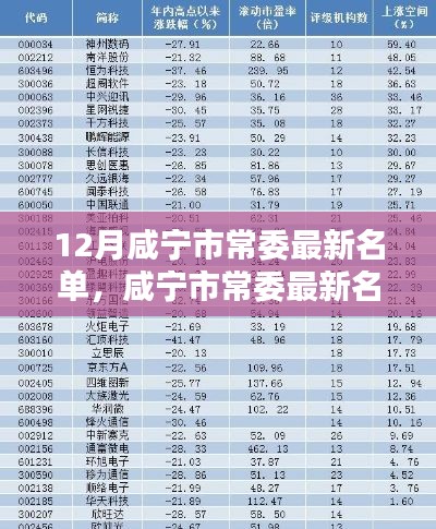 12月咸寧市常委最新名單，咸寧市常委最新名單科技新品亮相，智能時(shí)代，革新未來(lái)體驗(yàn)