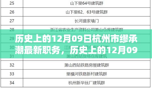 杭州市繆承潮新任職務深度解析，職責特點、用戶體驗與競品對比