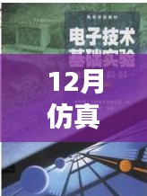 仿真之路，實(shí)時(shí)啟航，迎接自信與成就感的魔法時(shí)刻——十二月仿真需求解析