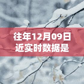 往年12月9日數(shù)據(jù)的魔法，溫馨回憶中的實(shí)時(shí)時(shí)光