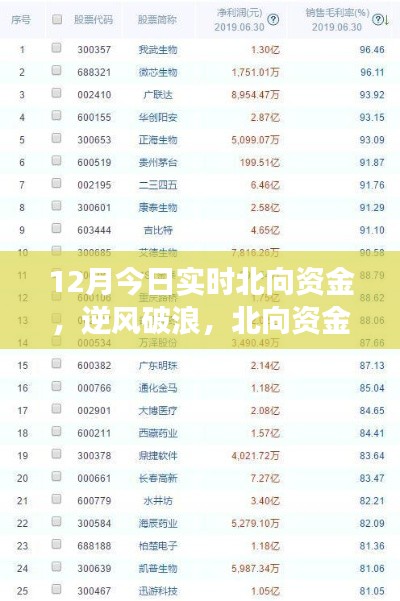 北向資金啟示下的成長奇跡，12月實時洞察，自信成就夢想之旅