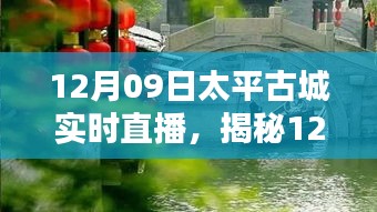 揭秘太平古城直播日，巷弄深處的獨(dú)特小店與探秘之旅