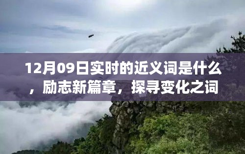 12月09日實時近義詞探索與勵志新篇章，探尋詞匯魔力，學習鑄就自信成就之橋