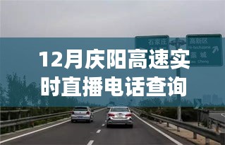 慶陽高速直播電話查詢背后的勵志故事，駕馭變化，駛向成功