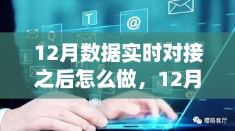 12月數(shù)據(jù)實(shí)時(shí)對(duì)接后的策略指南，多方考量與行動(dòng)步驟