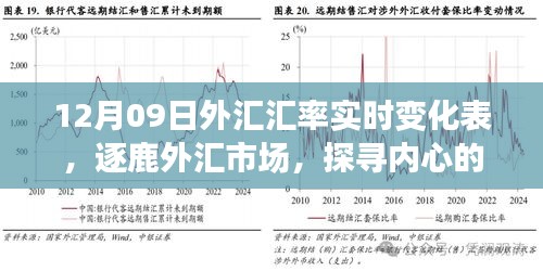 揭秘外匯市場風云變幻，探尋匯率背后的故事——12月09日外匯匯率實時變化表解析