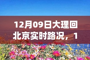 12月9日大理歸途，實(shí)時(shí)路況與心靈歸航的旅程故事