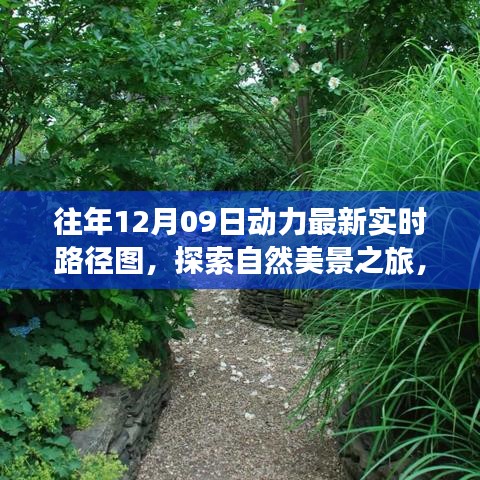 往年12月09日動力路徑圖，自然美景探索之旅的寧靜與和諧體驗