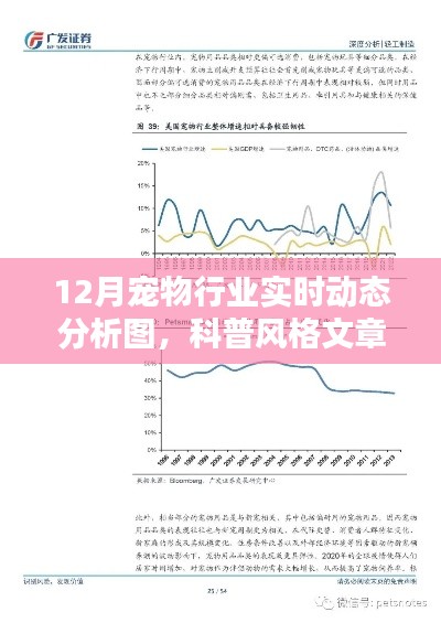 揭秘寵物行業(yè)趨勢，12月寵物行業(yè)實(shí)時動態(tài)科普分析圖