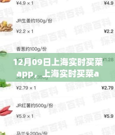 上海實時買菜app使用指南，從初學(xué)者到進(jìn)階用戶的全方位指南（12月09日版）