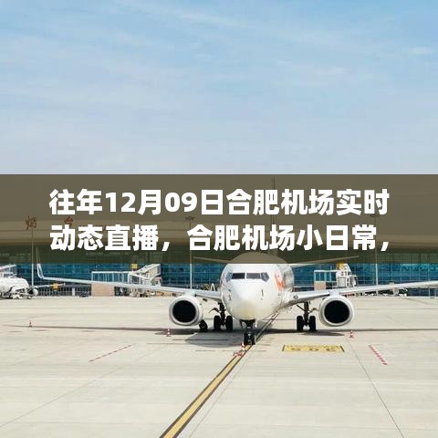 云端下的溫馨相遇，合肥機(jī)場12月9日實(shí)時(shí)動態(tài)直播小日常