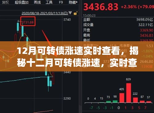 揭秘十二月可轉(zhuǎn)債漲速，實(shí)時(shí)查看與深度解讀報(bào)告