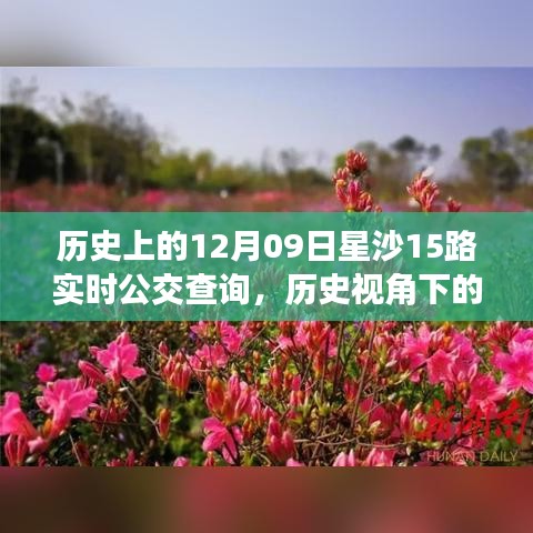 歷史視角下的星沙公交發(fā)展，星沙公交查詢系統深度探討與實時公交查詢服務解析（附，歷史上的星沙公交變遷）