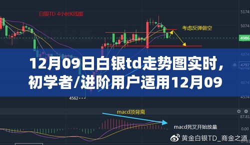 12月09日白銀TD走勢(shì)圖實(shí)時(shí)分析指南，適合初學(xué)者與進(jìn)階用戶