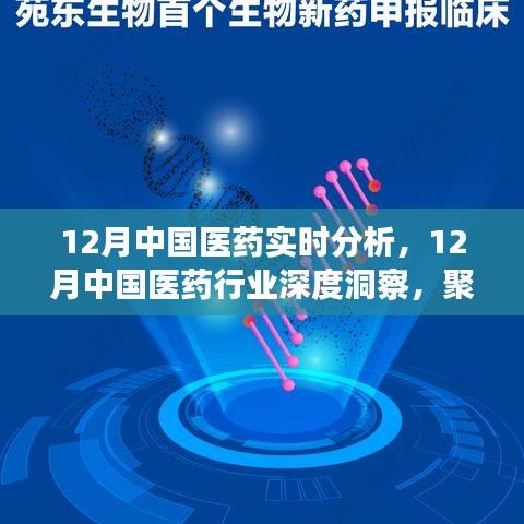 聚焦實時分析，探尋中國醫(yī)藥行業(yè)深度洞察與發(fā)展之路