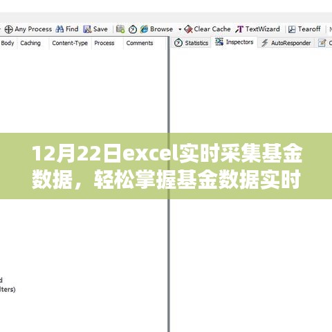 Excel基金數(shù)據(jù)實時采集進階，掌握實時動態(tài)，輕松管理投資組合（12月22日）