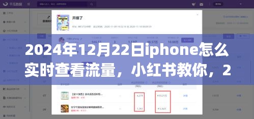 2024年12月22日iPhone實時查看流量教程，小紅書教你如何輕松監(jiān)控流量消耗