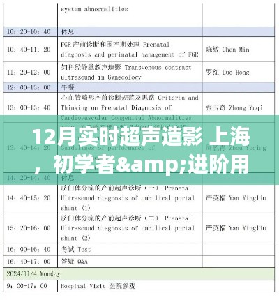 12月上海實時超聲造影操作全攻略，從初學(xué)者到進階用戶的必備指南