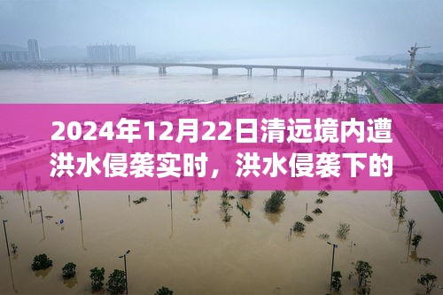 洪水侵襲下的清遠(yuǎn)秘境，美食奇遇與實時報道