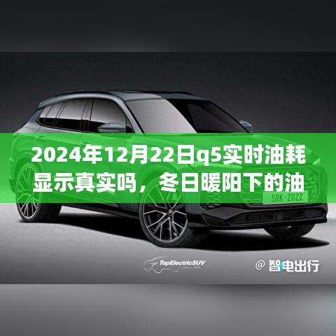 冬日暖陽下的真相探尋，2024年Q5實時油耗顯示的可信度與友情之旅