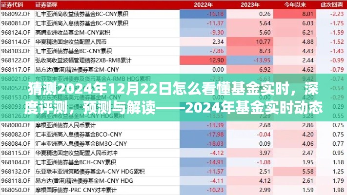 揭秘2024年基金實時動態(tài)洞察系統(tǒng)，深度評測、預(yù)測與解讀的未來趨勢