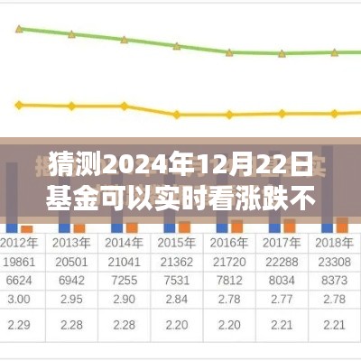 2024年12月22日基金實(shí)時(shí)漲跌預(yù)測攻略，掌握未來走勢，初學(xué)者與進(jìn)階用戶必讀