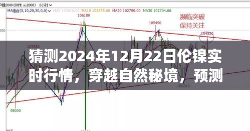 倫鎳行情預(yù)測(cè)與心靈之旅，穿越自然秘境，探索2024年倫鎳實(shí)時(shí)行情的奇妙交織