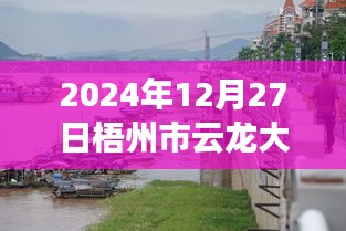 梧州市云龍大橋?qū)崟r水位監(jiān)測指南，以初學(xué)者和進階用戶視角看水位監(jiān)測