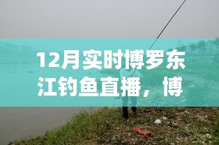 博羅東江畔的釣魚盛宴，12月實時釣魚直播開啟！