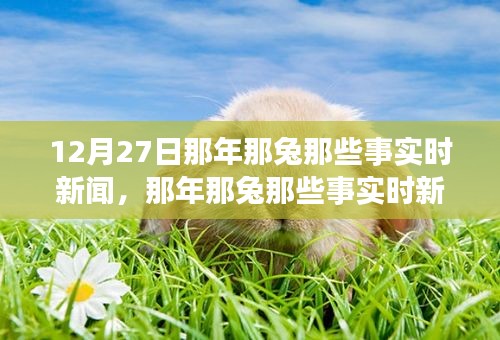 那年那兔時事新聞追蹤解讀指南，從初學(xué)者到進階用戶的步驟指南