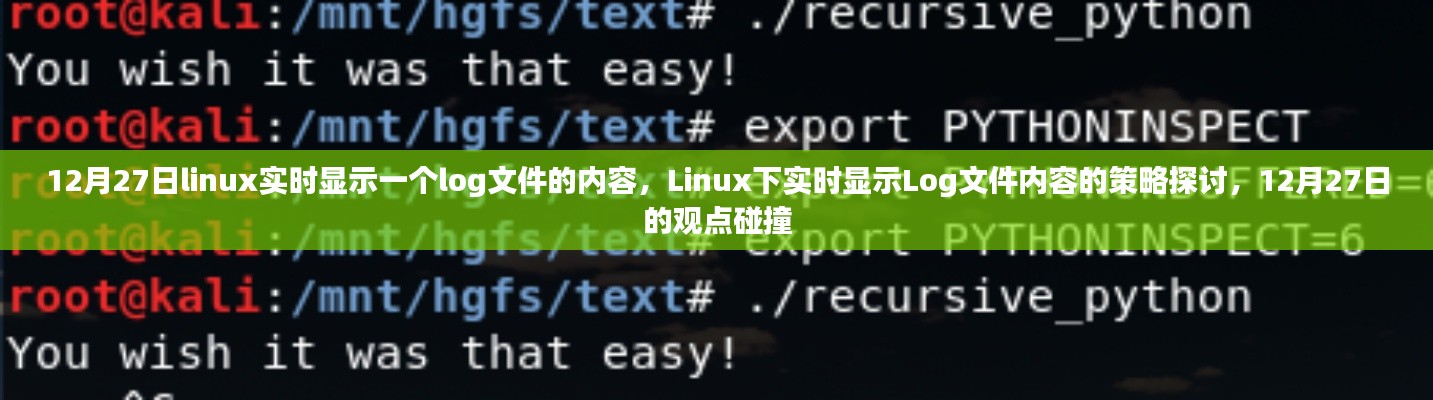 Linux下實時顯示Log文件內(nèi)容的策略探討，觀點碰撞與實時更新技術