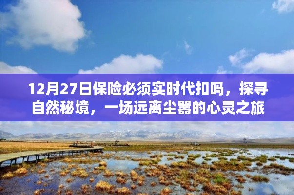 保險(xiǎn)代扣與心靈之旅，探尋自然秘境的遠(yuǎn)離塵囂之旅