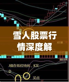 雪人股票行情深度解析，最新價(jià)格走勢(shì)與投資建議