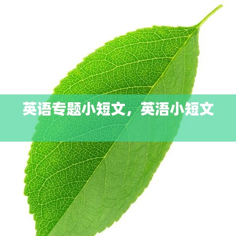 英語專題小短文，英浯小短文 