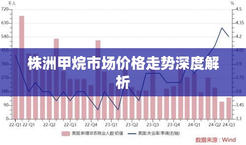 株洲甲烷市場價(jià)格走勢深度解析