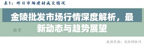 金陵批發(fā)市場行情深度解析，最新動態(tài)與趨勢展望