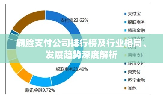 刷臉支付公司排行榜及行業(yè)格局、發(fā)展趨勢(shì)深度解析