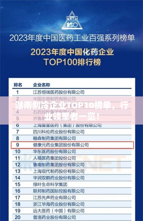 湖南制冷企業(yè)TOP10榜單，行業(yè)領(lǐng)軍者一覽！