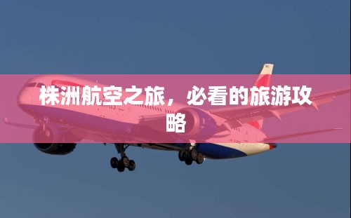 株洲航空之旅，必看的旅游攻略