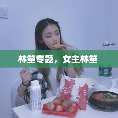 林笙專題，女主林笙 