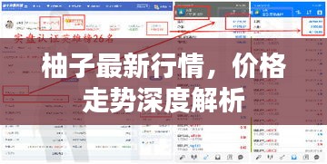 柚子最新行情，價(jià)格走勢(shì)深度解析