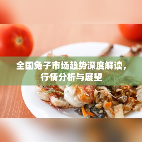 全國兔子市場趨勢(shì)深度解讀，行情分析與展望